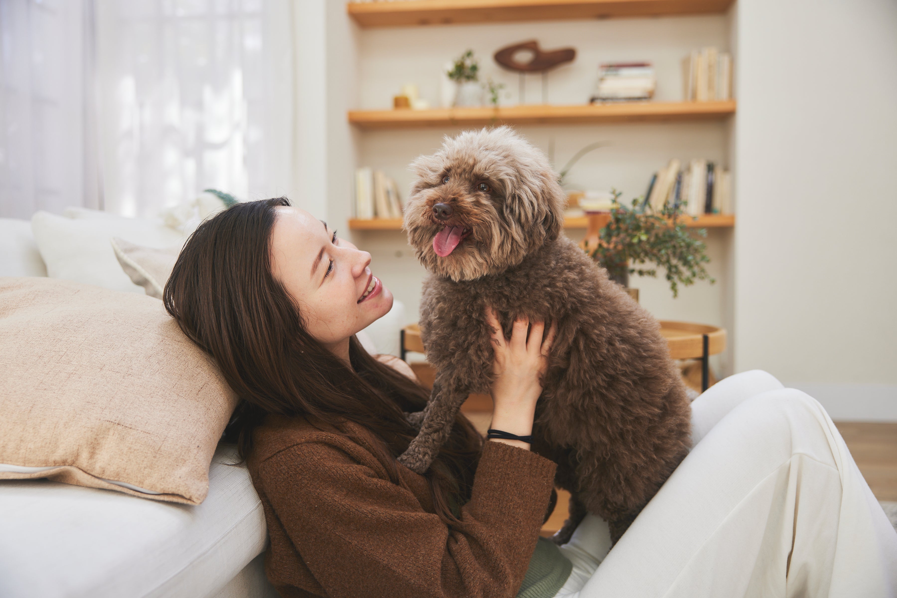 獣医さんに聞く、犬の皮膚トラブルの原因とは?