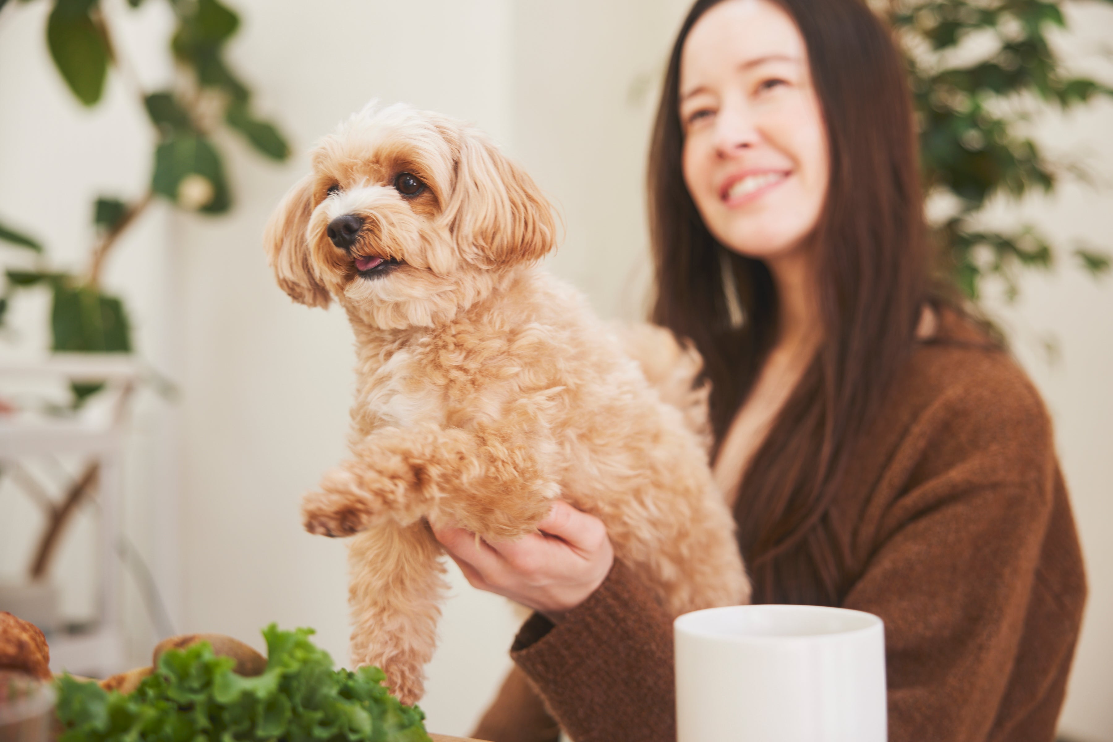 自然治癒力を高めるオーガニッククレイの魅力とは?