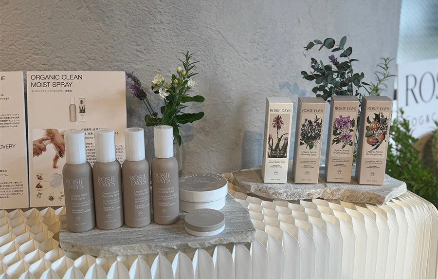 ブランドのローンチイベントをレポート|人気アイテムTOP3は?