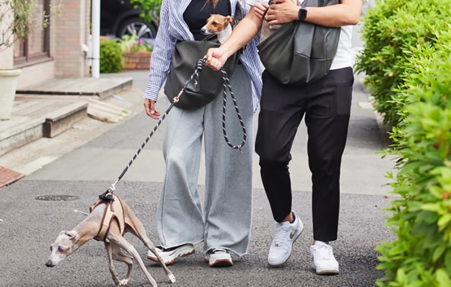 犬用スリングバッグは“ただの移動手段”ではなく、“共に過ごすスタイル”そのもの