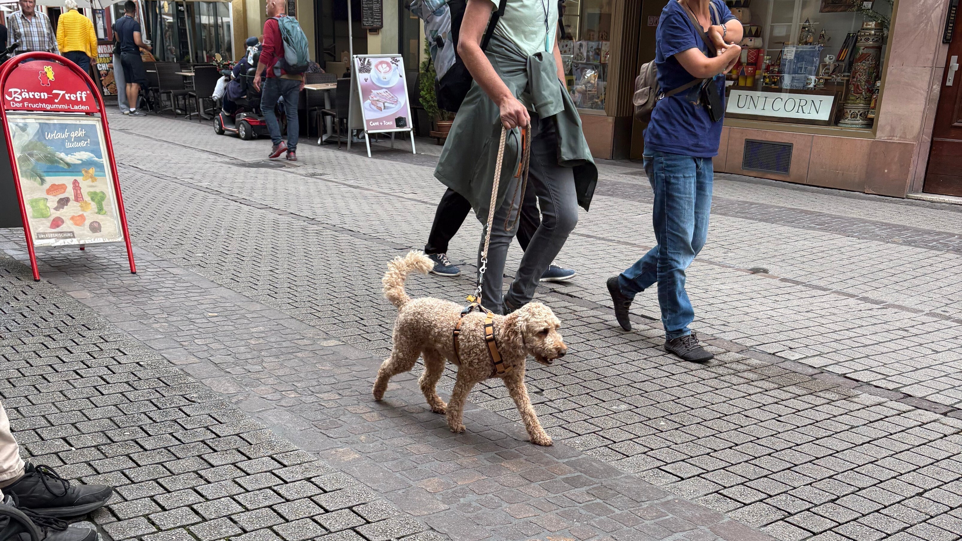 世界の愛犬事情―ドイツ編―